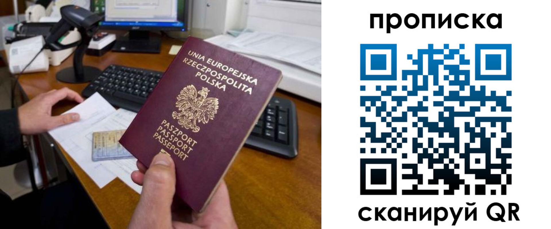 прописка для школы в Александровске-Сахалинском